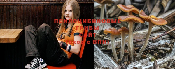 хмурый Нефтекумск