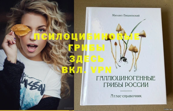прущие грибы Володарск
